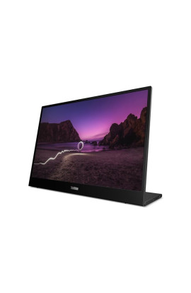 ThinkVision M16